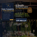 Bundle — Guía + Videollamada Personalizada 45 min
